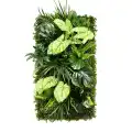 PANEL_BASIC_GD310_CALADIUM_FOREST.jpg