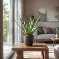 GD4012_ALOES_58cm_WIZUALIZACJA.jpg