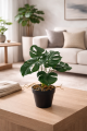 Wizualizacja_Monstera_39.png