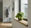 PILEA_WIZUALIZACJA