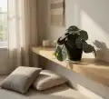 PILEA_WIZUALIZACJA2