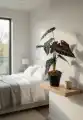 ALOKAZJA_WIZUALIZACJA2