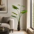 GD4292_WASHINGTONIA_ROBUSTA_160cm_WIZUALIZACJA