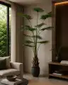 GD4294_WASHINGTONIA_ROBUSTA_200cm_WIZUALIZACJA