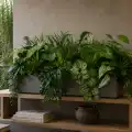 GREEN_DESIGNERS_VERDANT_HAVEN_GD730_WIZUALIZACJA