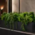 GREEN_DESIGNERS_QUIET_OASIS_GD729_WIZUALIZACJA