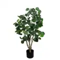 GD4726_ARALIA_100cm_2.jpg
