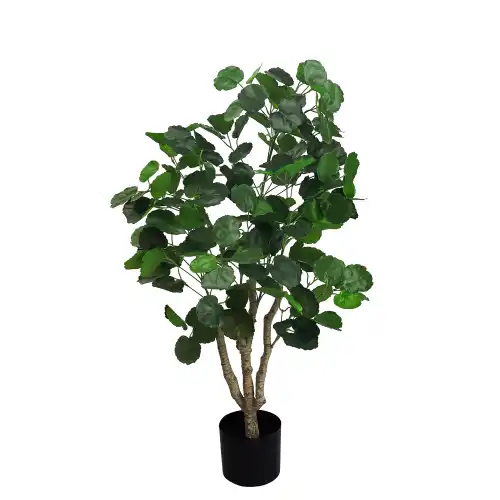 Sztuczna roślina Aralia 100 cm