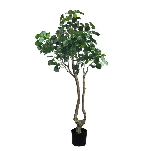 Sztuczna roślina Aralia 170 cm 