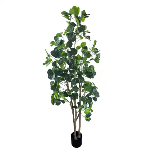 Sztuczna roślina Aralia 180 cm