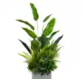 GD731_JUNGLE_BREEZE.jpg