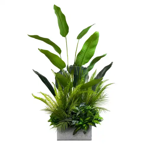 Wypełnienie roślinami donicy Jungle Breeze