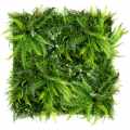 GD 143 Wild Fern sklep Green Designers.JPG