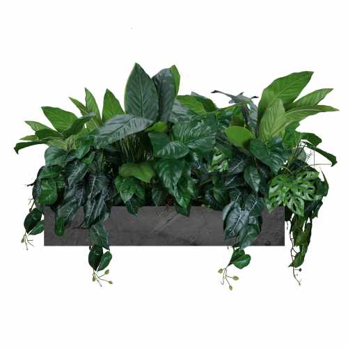 GREEN_DESIGNERS_EXOTIC_FAIR_GD728.jpg