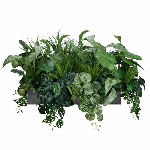 GREEN_DESIGNERS_VERDANT_HAVEN_GD730.jpg
