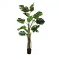 GD4157_MONSTERA_210cm.jpg