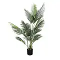 GD4182 PALMA AREKA DYPSIS_140cm.jpg
