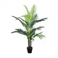 GD4162_PALMA_CHAMEDORA_150cm.jpg